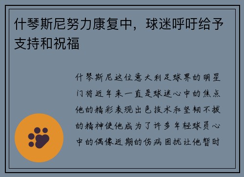 什琴斯尼努力康复中，球迷呼吁给予支持和祝福